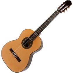 Гитара Raimundo R128C Cedar
