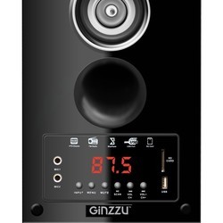 Акустическая система Ginzzu GM-301