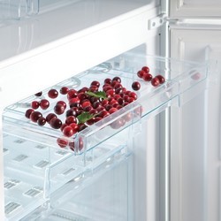 Холодильник Snaige RF56SG-P500NF0