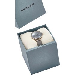 Наручные часы Skagen SKW2862