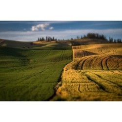 Объектив Lensbaby Composer Pro II Edge 50