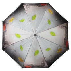 Зонт Flioraj 051102 FJ (серый)