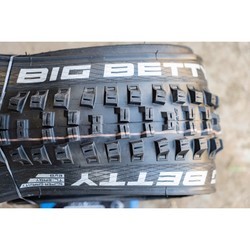 Велопокрышка Schwalbe Big Betty Evolution Folding 26x2.4