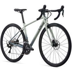 Велосипед Giant Liv Avail AR 1 2021 frame M