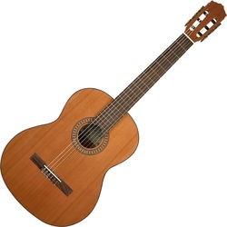 Гитара Salvador Cortez CC-22