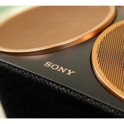 Аудиосистема Sony SRS-RA5000