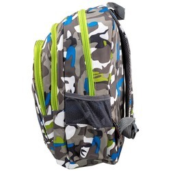 Школьный рюкзак (ранец) Valiria Fashion DETAT2116-1
