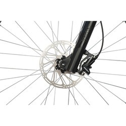 Велосипед Stinger Zeta Evo 29 2021 frame 18