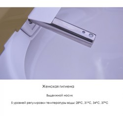 Унитаз YouSmart Intelligent Toilet SL610