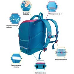 Школьный рюкзак (ранец) Berlingo Concept Cute Corgi