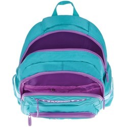 Школьный рюкзак (ранец) Berlingo Ergo Flamingo