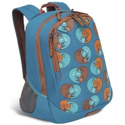 Школьный рюкзак (ранец) Grizzly RD-041-3