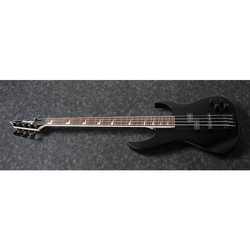 Гитара Ibanez RGB-300