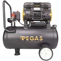 Компрессор Pegas PG-802