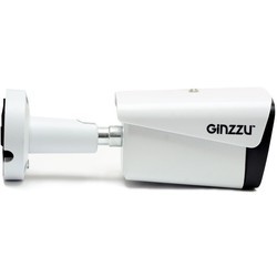 Камера видеонаблюдения Ginzzu HIB-5301A