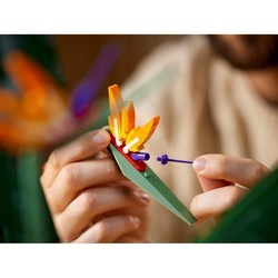 Конструктор Lego Bird of Paradise 10289