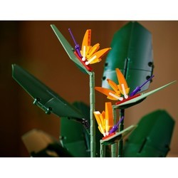 Конструктор Lego Bird of Paradise 10289