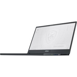 Ноутбук MSI WS66 11UKT (WS66 11UKT-215RU)