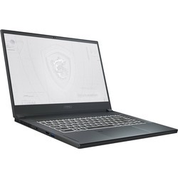 Ноутбук MSI WS66 11UKT (WS66 11UKT-215RU)