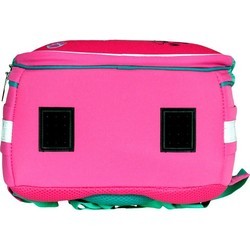 Школьный рюкзак (ранец) CLASS Puppy 2012