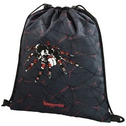 Школьный рюкзак (ранец) Step by Step BaggyMax Fabby Spider