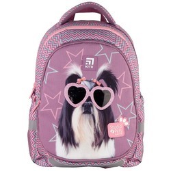 Школьный рюкзак (ранец) KITE Studio Pets SETSP21-700M(2p)