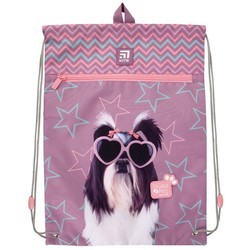 Школьный рюкзак (ранец) KITE Studio Pets SETSP21-700M(2p)