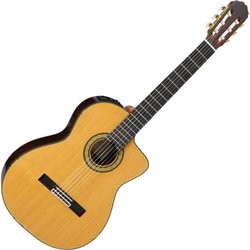 Гитара Takamine TH5C