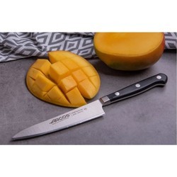 Кухонный нож Arcos Opera 225100