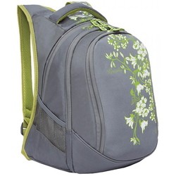 Школьный рюкзак (ранец) Grizzly RD-043-2