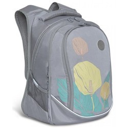 Школьный рюкзак (ранец) Grizzly RD-141-2