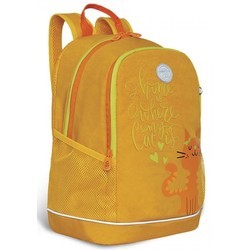 Школьный рюкзак (ранец) Grizzly RG-163-13