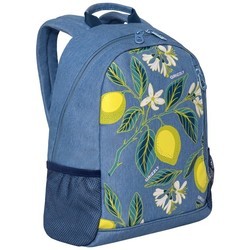 Школьный рюкзак (ранец) Grizzly RX-025-2