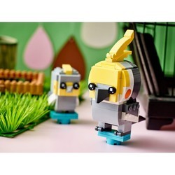Конструктор Lego Cockatiel 40481
