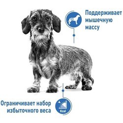 Корм для собак Royal Canin X-Small Light Weight Care 1.5 kg