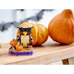 Конструктор Lego Halloween Owl 40497
