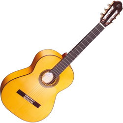 Гитара Ortega R270F