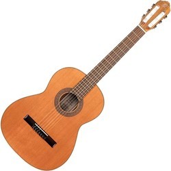 Гитара Ortega R190