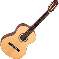 Гитара Ortega R158SN