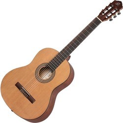 Гитара Ortega RSTC5M