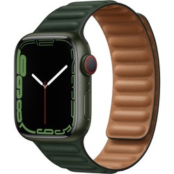 Смарт часы Apple Watch 7 Aluminum 41 mm Cellular