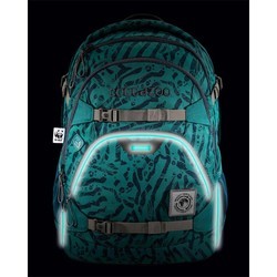 Школьный рюкзак (ранец) Coocazoo ScaleRale WWF