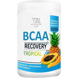 Аминокислоты BodyPerson Labs BCAA Recovery 500 g