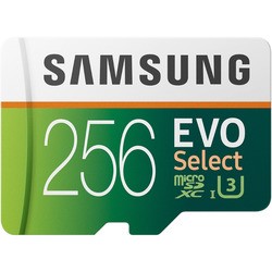 Карта памяти Samsung EVO Select microSDXC 256Gb