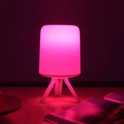 Настольная лампа Xiaomi Philips Zhirui Bedside Lamp Foggy