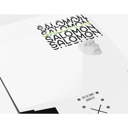 Сноуборд Salomon The Villain 155 (2021/2022)