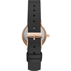 Наручные часы Skagen SKW3004