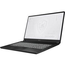 Ноутбук MSI WS76 11UM (WS76 11UM-440RU)