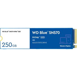 SSD WD WD WDS100T3B0C