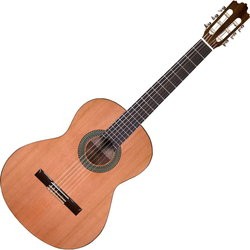Гитара Prodipe JMFRECITAL300